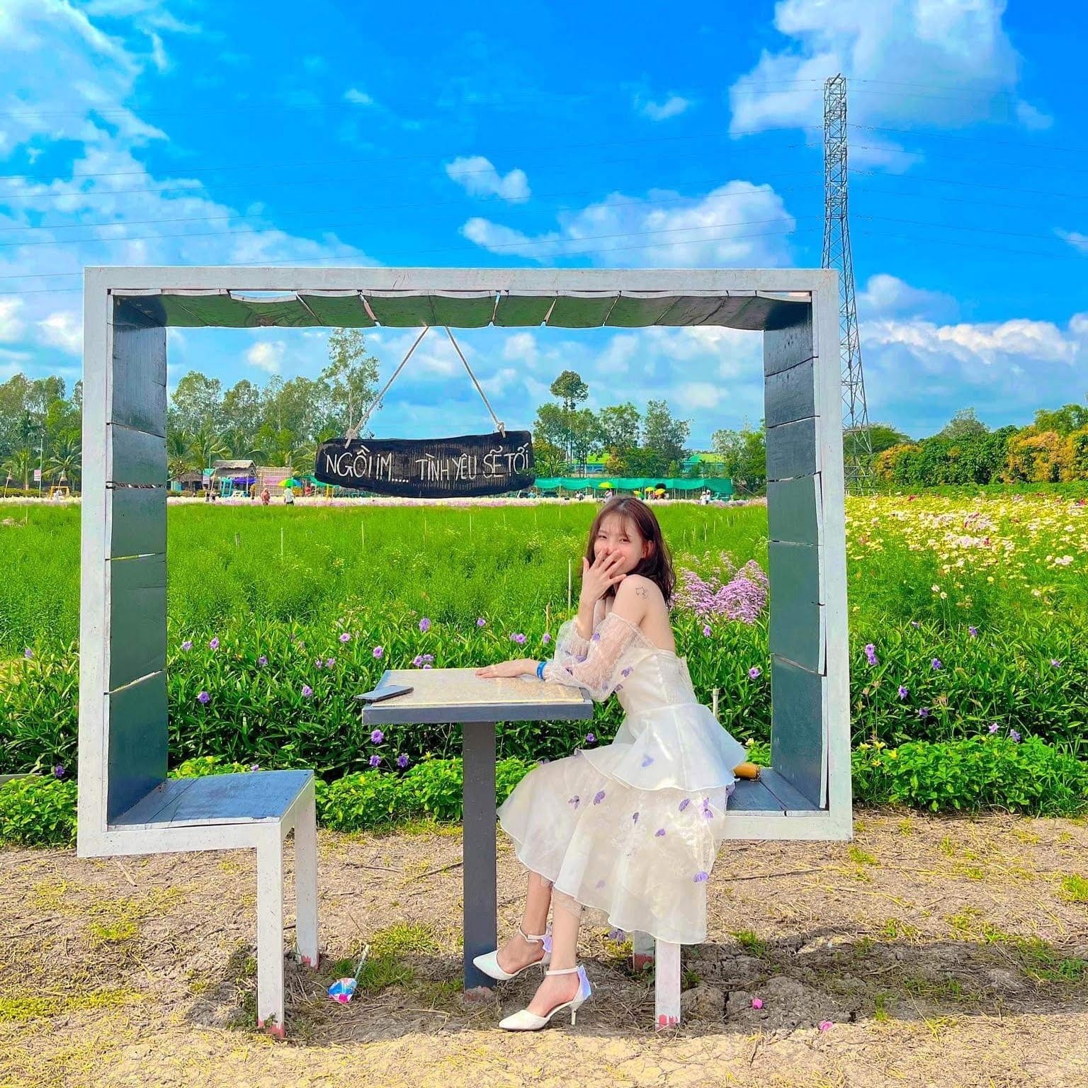 Hạt giống hướng dương