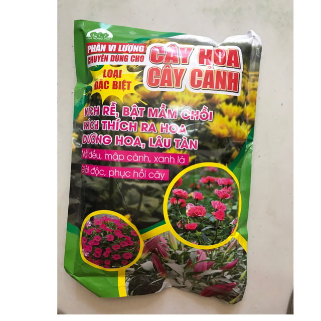 phân bón cho hoa dừa cạn