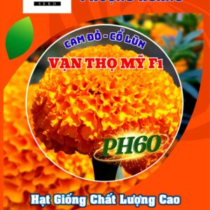 Hoa Vạn Thọ Cao Lỡ Vàng Chanh PH08