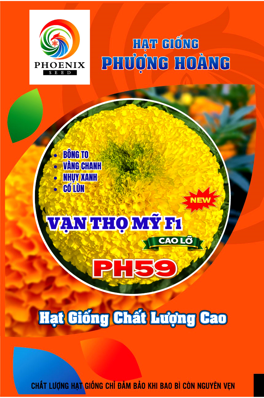 Cách gieo trồng hạt giống hoa vạn thọ nở hoa ngày tết