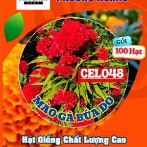 Hạt giống Hoa mào gà búa đỏ Cel151