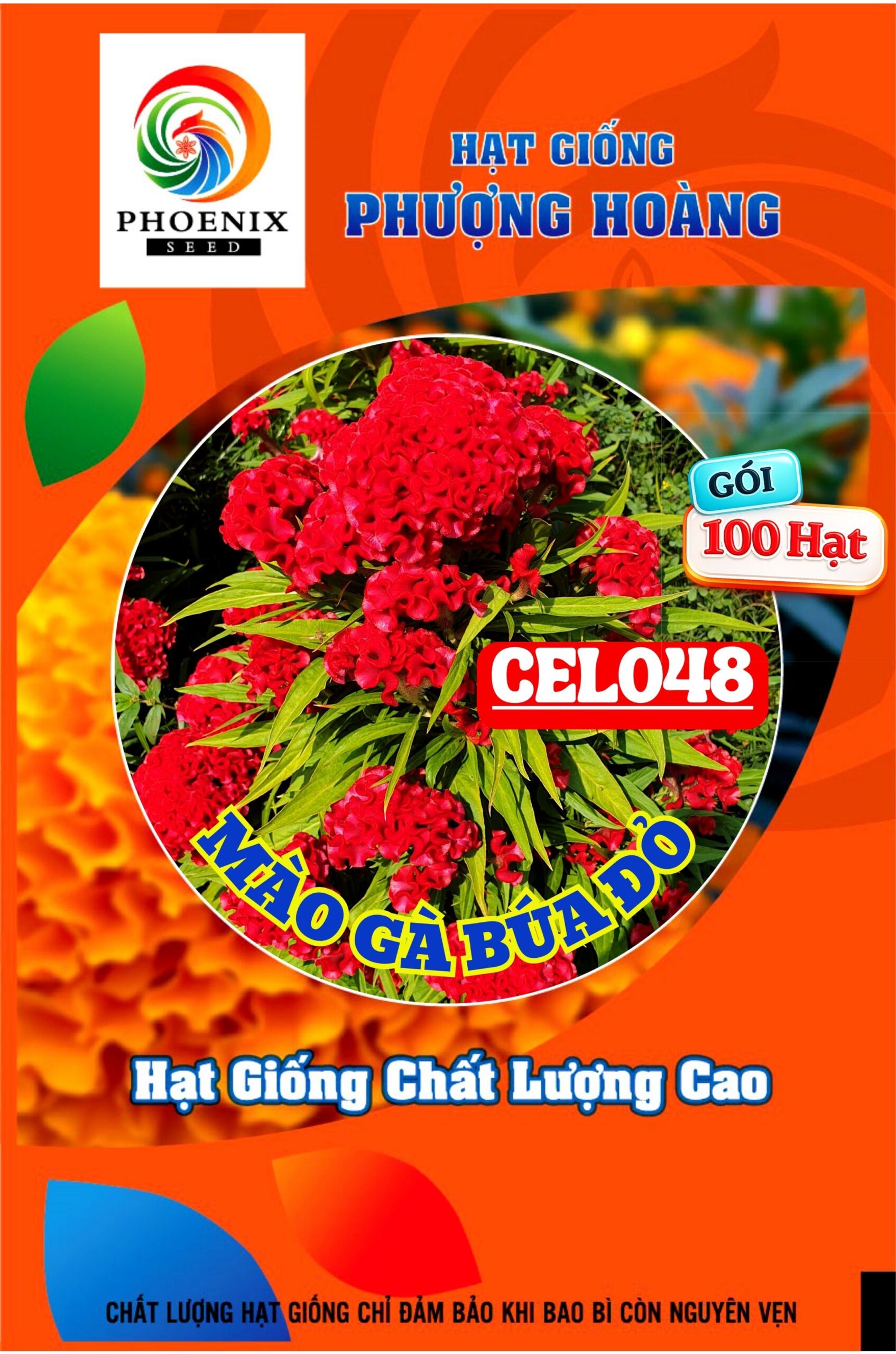 Hạt giống Hoa mào gà búa đỏ Cel151