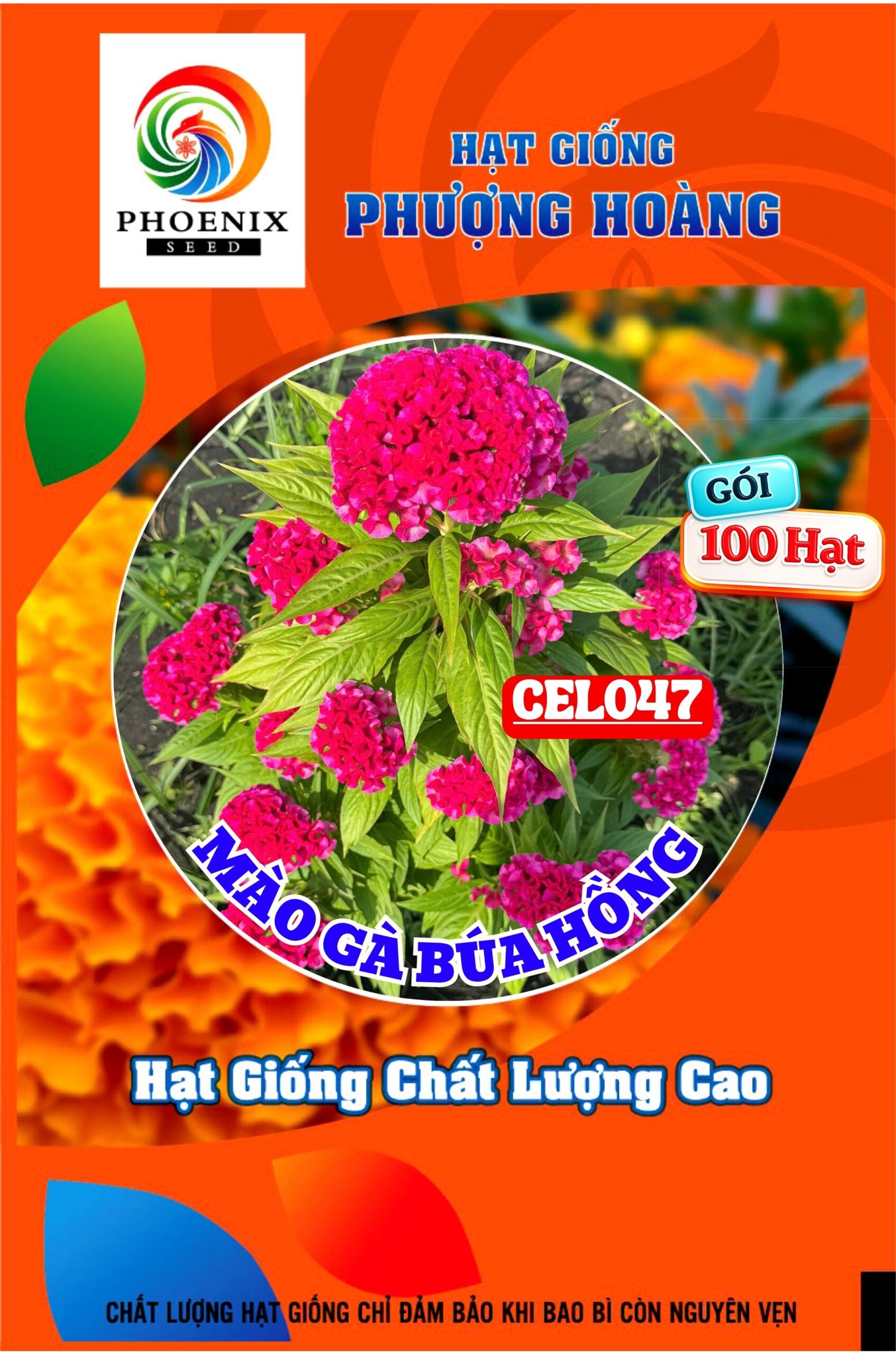 Hạt giống Hoa màu gà búa cam Cel153