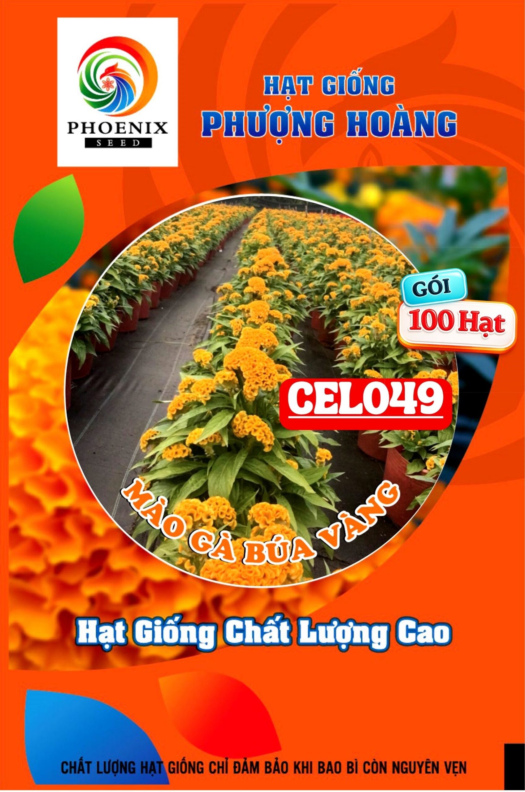 Hạt giống hoa mào gà búa vàng Cel152