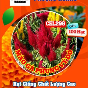 Hạt Giống Mào Gà Phụng Vỹ Đỏ CEL298 – Hạt Giống Phượng Hoàng