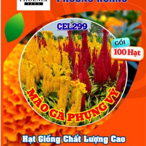 Hạt Giống Mào Gà Phụng Vỹ Đỏ CEL298 – Hạt Giống Phượng Hoàng