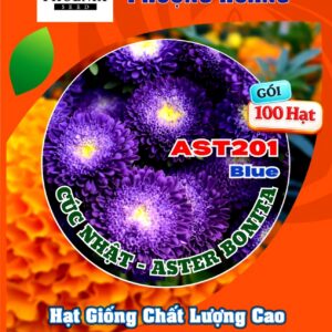 Hạt Giống Hoa Cúc Nhật Aster Bonita – AST201 Tím (Gói 100 hạt) Hạt Giống Phượng Hoàng