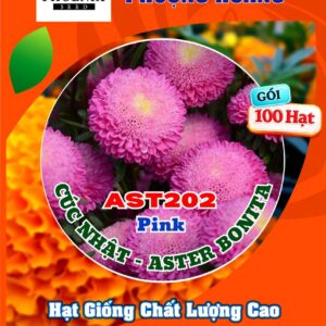 Hạt Giống Hoa Cúc Nhật Aster Bonita – AST201 Tím (Gói 100 hạt) Hạt Giống Phượng Hoàng