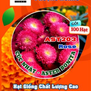 Hạt Giống Hoa Cúc Nhật Aster Bonita – AST201 Tím (Gói 100 hạt) Hạt Giống Phượng Hoàng