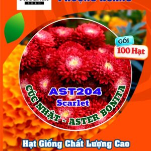 Hạt Giống Hoa Cúc Nhật Aster Bonita – AST201 Tím (Gói 100 hạt) Hạt Giống Phượng Hoàng