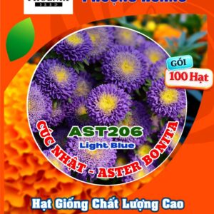 Hạt Giống Hoa Cúc Nhật Aster Bonita – AST201 Tím (Gói 100 hạt) Hạt Giống Phượng Hoàng
