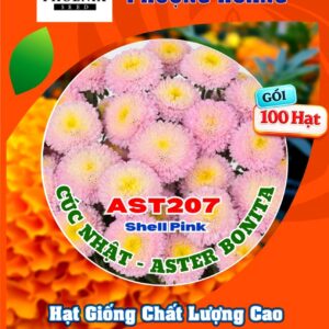 Hạt Giống Hoa Cúc Nhật Aster Bonita – AST201 Tím (Gói 100 hạt) Hạt Giống Phượng Hoàng