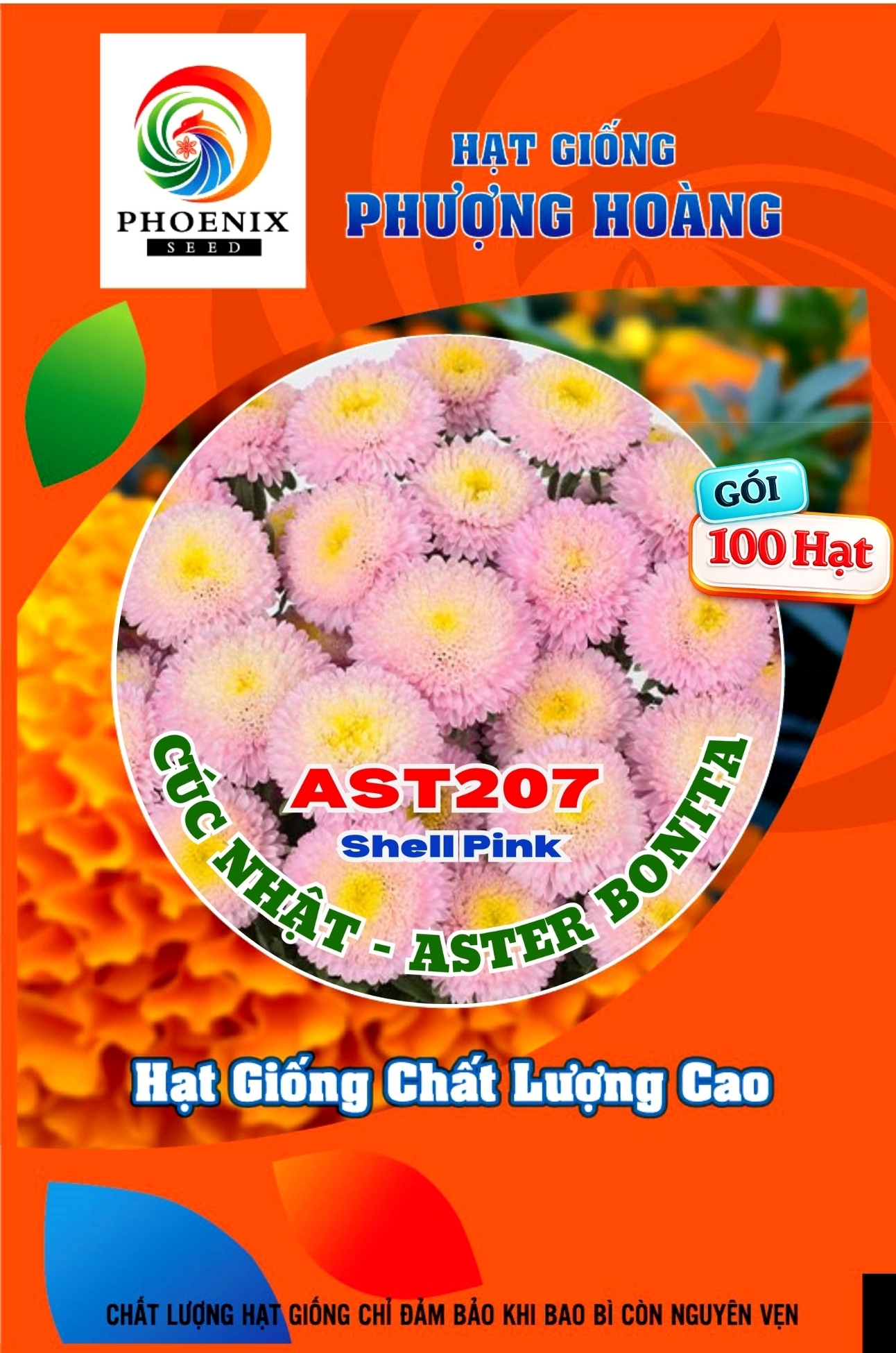 Hạt Giống Hoa Cúc Nhật Aster Bonita – AST201 Tím (Gói 100 hạt) Hạt Giống Phượng Hoàng