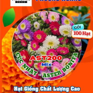 Hạt Giống Hoa Cúc Nhật Aster Bonita – AST201 Tím (Gói 100 hạt) Hạt Giống Phượng Hoàng