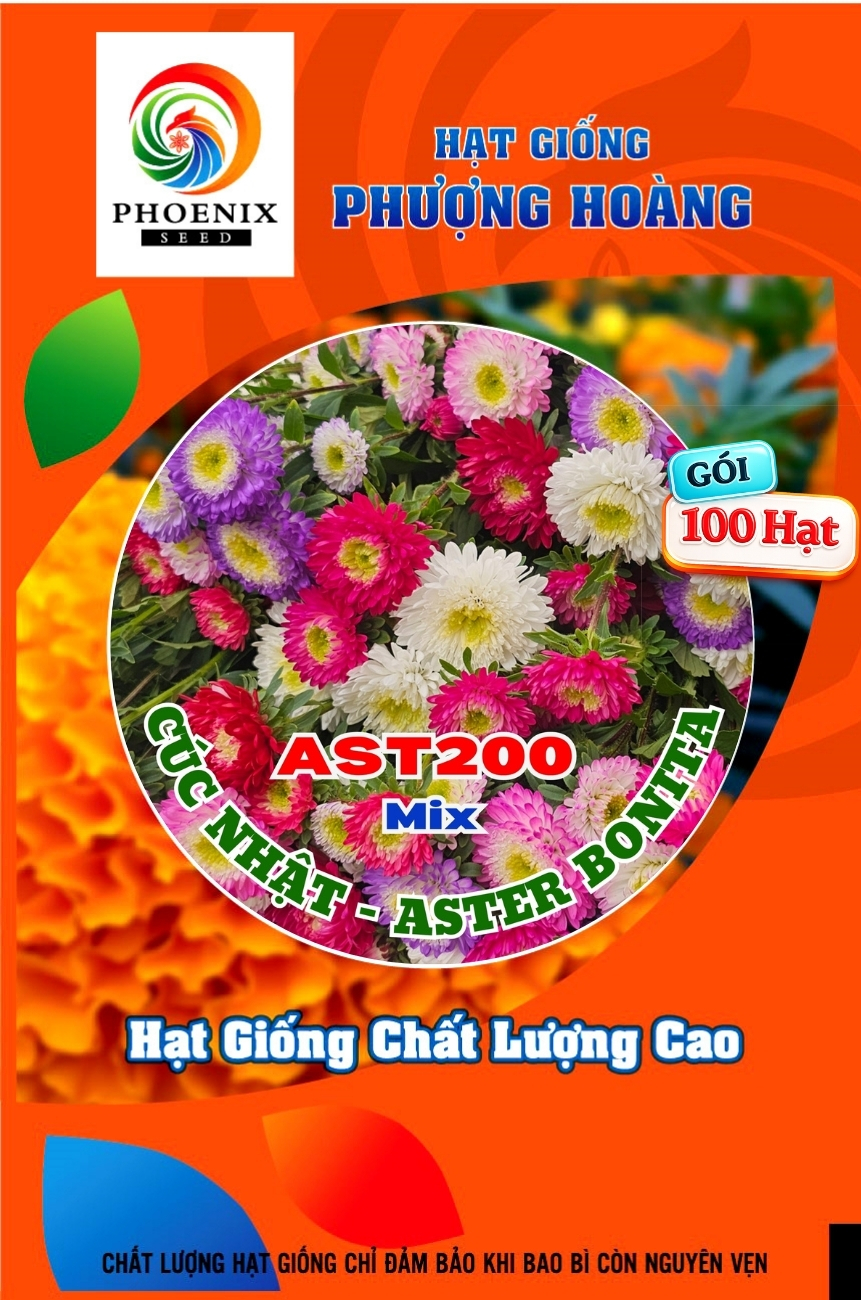 Hạt Giống Hoa Cúc Nhật Aster Bonita – AST201 Tím (Gói 100 hạt) Hạt Giống Phượng Hoàng