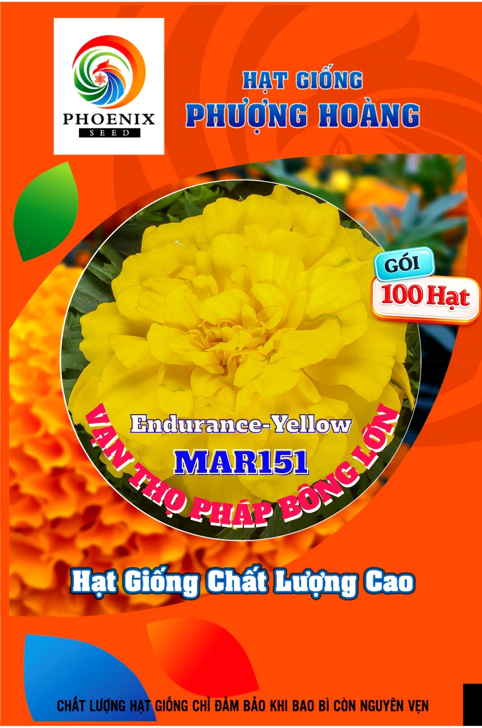 Hoa Vạn Thọ Ban Mai Bông Lớn – MAR151-Endurance Yellow (Gói 100 Hạt)