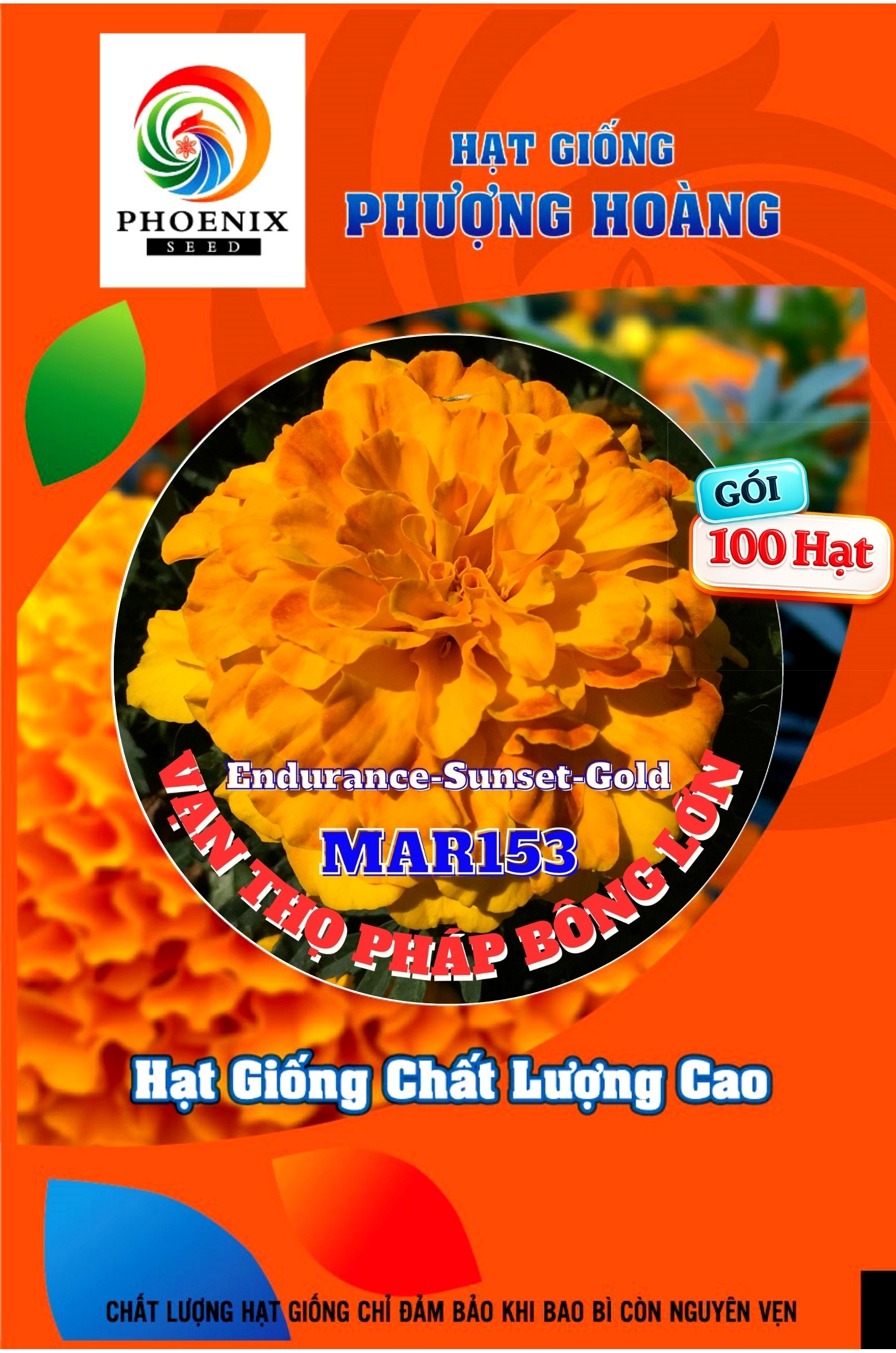 Hoa Vạn Thọ Ban Mai Bông Lớn – MAR153-Endurance – Sunset Gold (Gói 100 Hạt)