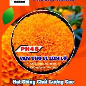 Hạt Giống Vạn Thọ Lùn Lỡ PH48 Cam Đỏ – Hạt Giống Phượng Hoàng