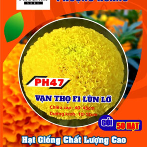 Hạt Giống Vạn Thọ Lùn Lỡ PH47 Vàng Chanh – Hạt Giống Phượng Hoàng