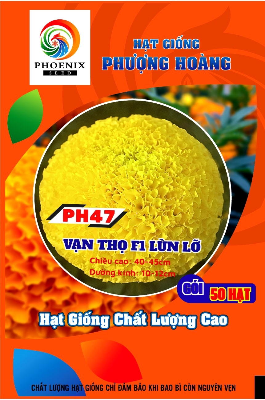 Hạt Giống Vạn Thọ Lùn Lỡ PH47 Vàng Chanh – Hạt Giống Phượng Hoàng