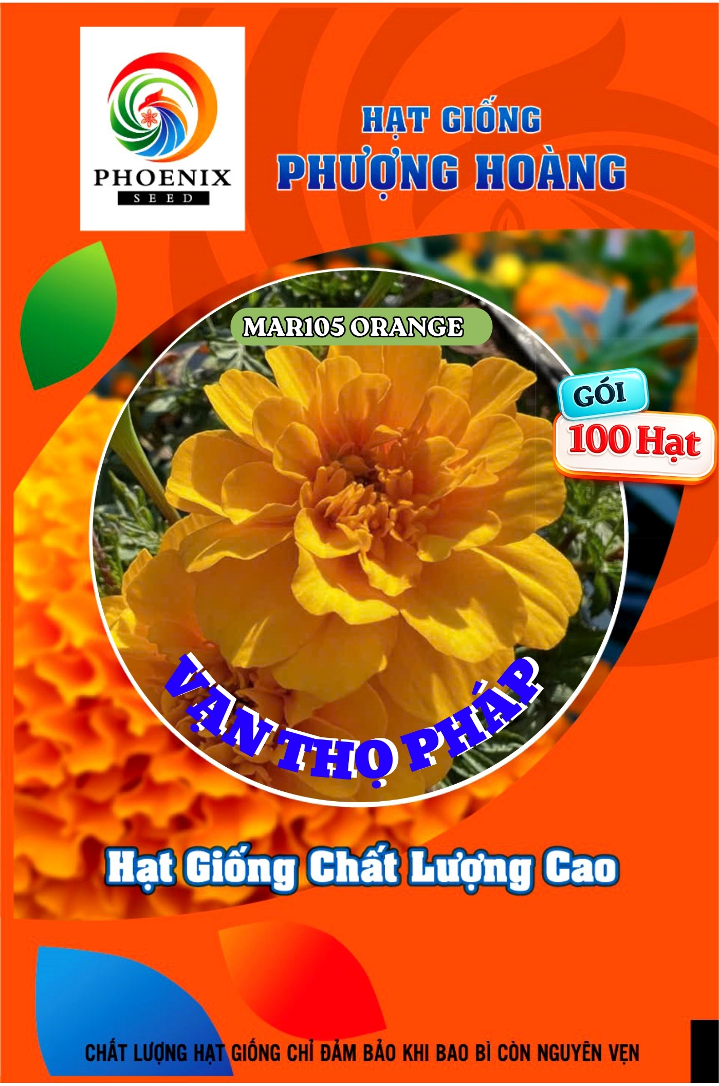 Hoa Vạn Thọ Ban Mai MAR105 – ORANGE – Hạt Giống Phượng Hoàng