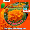 Hoa Vạn Thọ Ban Mai MAR107 – TANGERINE – Hạt Giống Phượng Hoàng